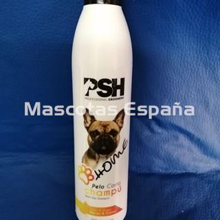 PSH HOME Pelo Corto Champú (Short Hair Shampoo) 250ml - Imagen 1
